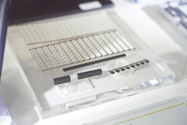 bevictor伟德官网-韦德官方网站